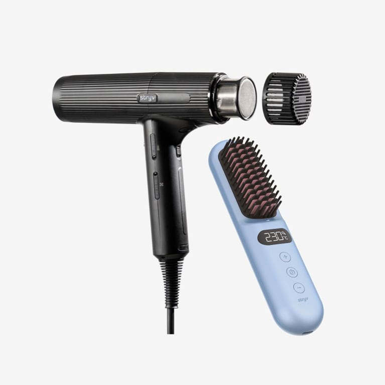 1 Professional Hairdryer + 1 FREE Ministyler