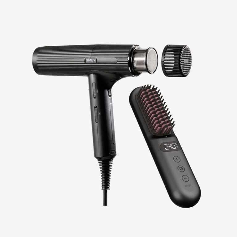 1 Professional Hairdryer + 1 FREE Ministyler